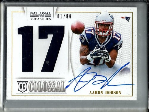 Aaron dobson 2013 - aaron, national