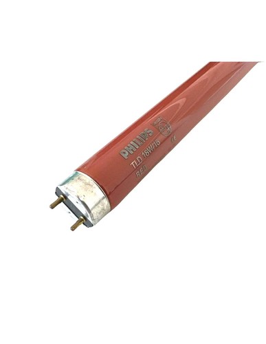 Ampoule tube néon couleur - ampoule,
