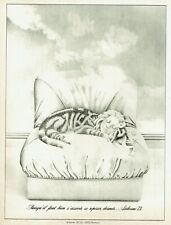  Publicité Advertising 0222  1973 fauteuil canapé Airborne puisqu'il faut dormir