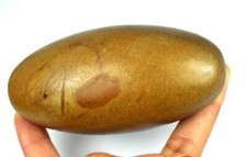 376,20 Grammes Naturel Shiva