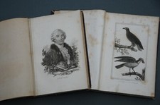 Buffon Atlas Oiseaux Mammifères  1820 180 planches  oiseaux et mammifères