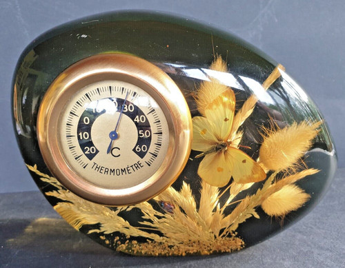 Thermomètre résine inclusion