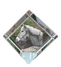 Haflinger - Kristallwürfel