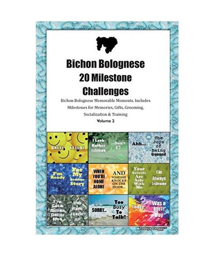 Bichon bolognese milestone - bolognese,