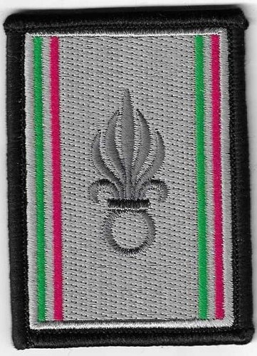 Insigne tissu patch militaire - insigne,