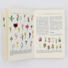 Encyclopédie en couleurs de la Botanique 1970 – Marabout Université