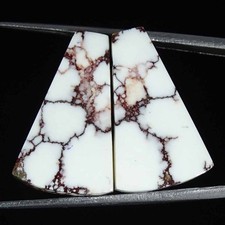 23.40Cts Naturel Sauvage