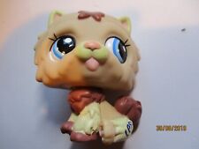 PETSHOP CHIEN CHOW CHOW