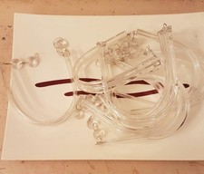 1 GRANDE SUPERBE PAMPILLES