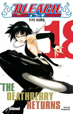 Bleach tome the - bleach,