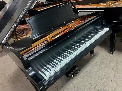 Steinway grand piano - steinway,