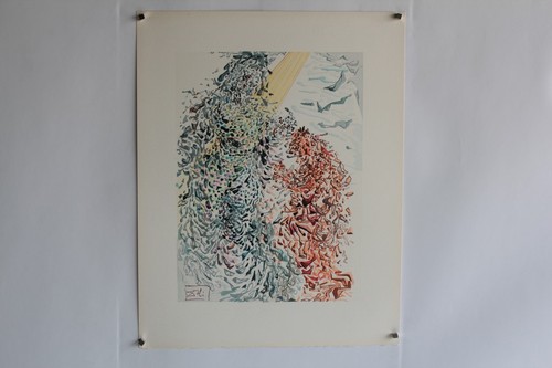 Salvador dali lithographie - dali,
