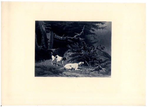 Engraving after hunting - after, a