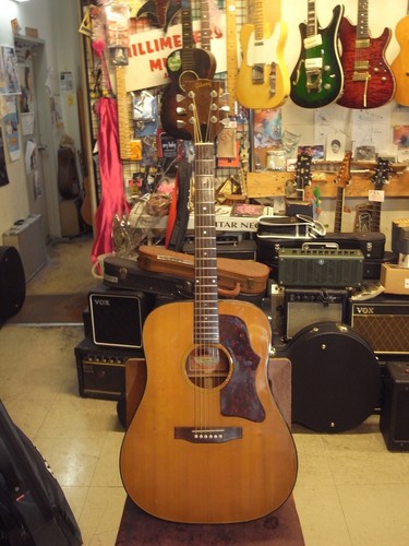 Guitare électrique acoustique