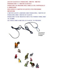 Dentelle Patte 2 5 10m