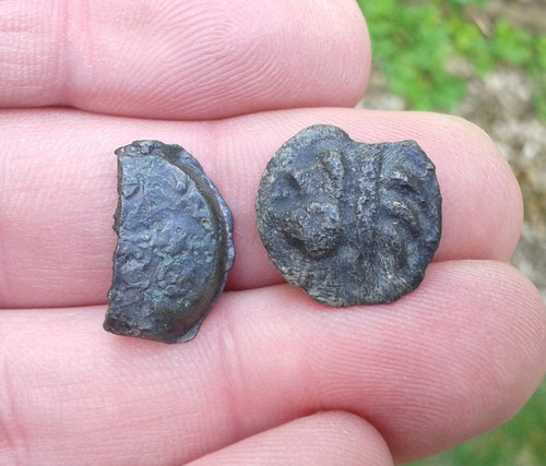 Monnaies gauloises demi - , bronze