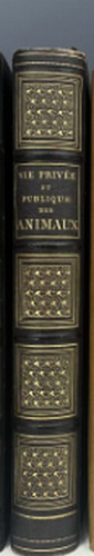 Grandville stahl vie - stahl,