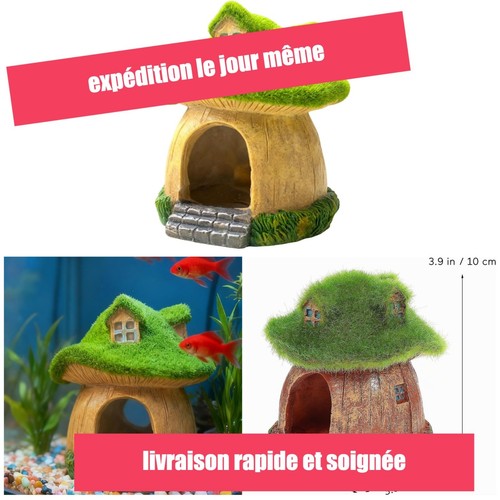 Décoration aquarium maison - décoration,