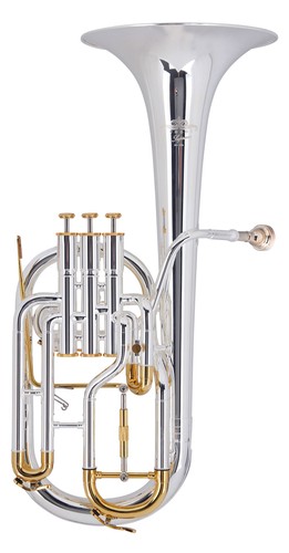 Corne trompe alto - corne, l'alto