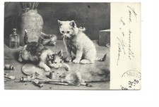 ILLUSTRATION - CHATONS JOUANT AVEC MATERIEL DE PEINTURE