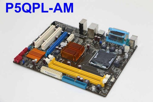 Scheda madre mainboard asus - mainboard,