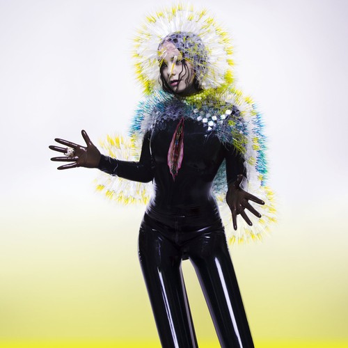 Björk vulnicura album - björk,