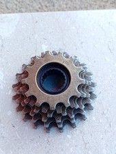 Regina Extra Gold BX roue