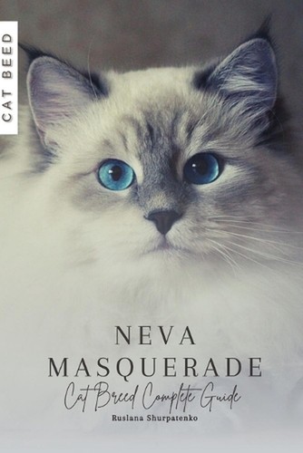 Neva masquerade cat breed - neva,
