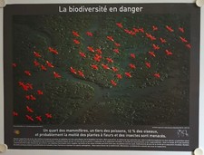 Affiche ARTHUS-BERTRAND Photo BIODIVERSITÉ EN DANGER Développement Durable
