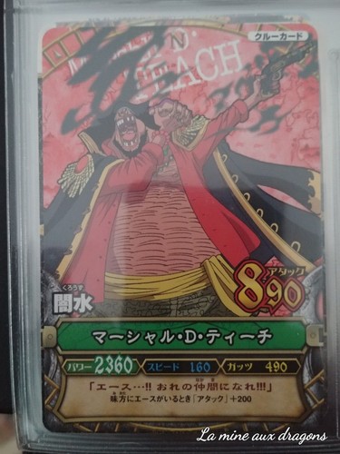 Carte one piece data carddass - piece,