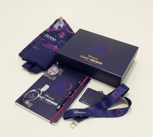 Boite collector disneyland - boite,