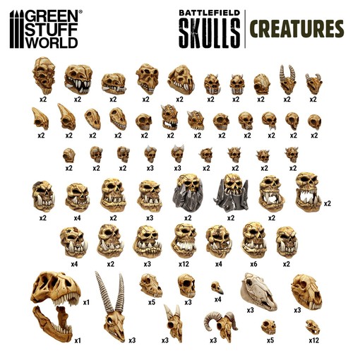 300x crânes créatures - crânes,