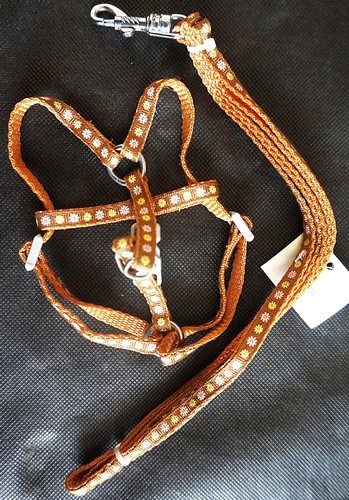 Harnais taille avec laisse - xs,