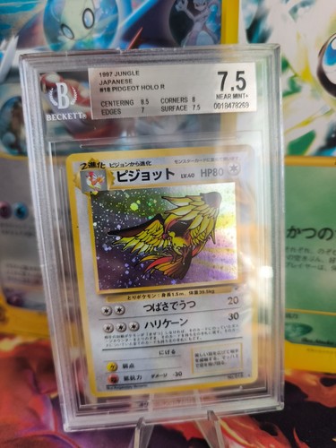 Carte pokemon tauboss pidgeot - pokemon,