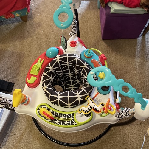 Fisher-Price Baby Bouncer