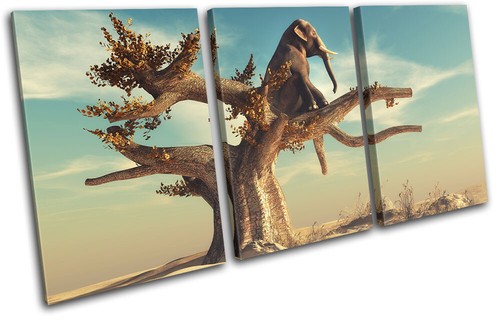 Elephant tree desert - elephant,