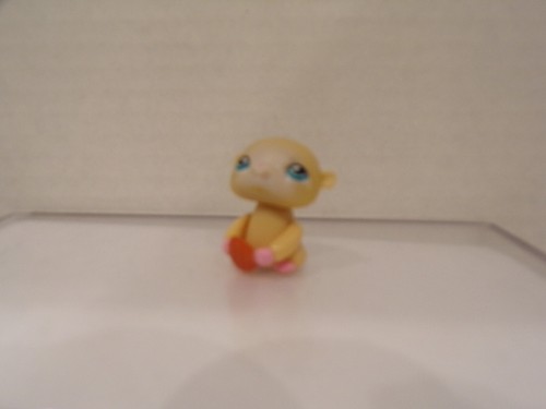 Littlest pet - littlest,