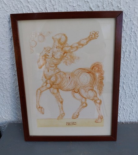 Reproduction encadree salvador - encadree,