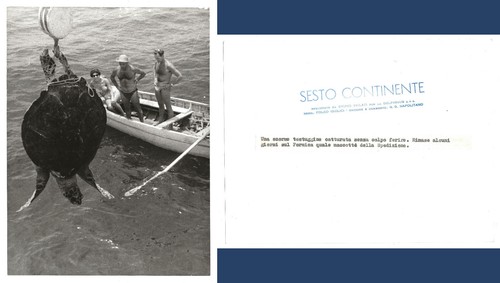 Photo pour sixième - photo,