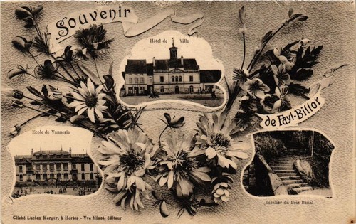 Cpa souvenir fayl billot - cpa,