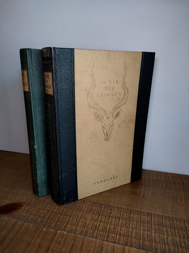 Lot anciens atlas larousse - anciens,
