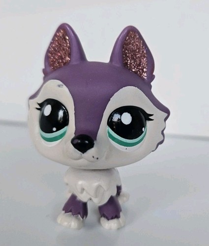 Authentique chien husky
