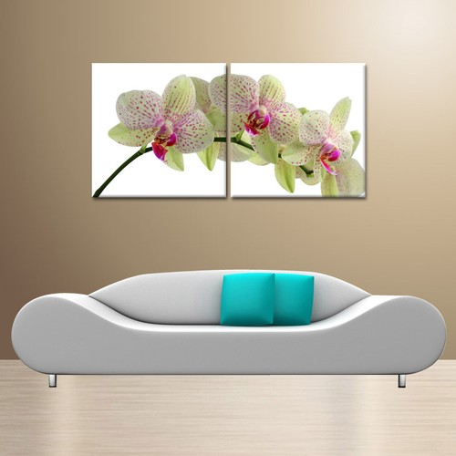 Orchid ready hang digital - to,