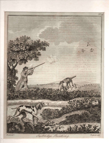 19th century engraving - ,