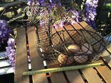 ANCIEN PANIER À ŒUFS EN FIL DE FER CUEILLETTE FORME POULE   VINTAGE