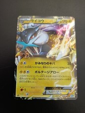 Raikou Ex - 025/069 - BW4