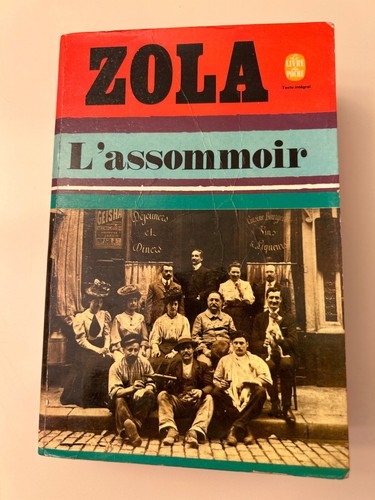 Zola assommoir le livre - zola:,