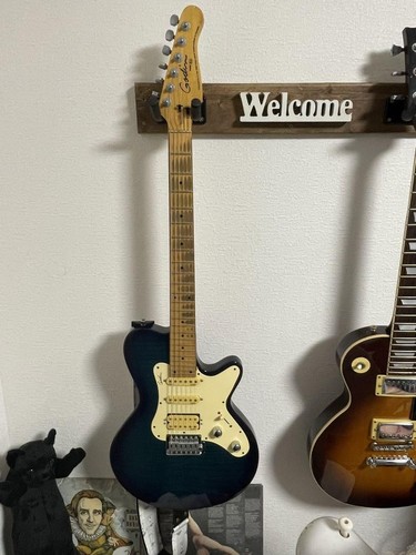Electric guitar godin - electric,