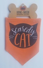 Mud Pie Halloween Cat Pet