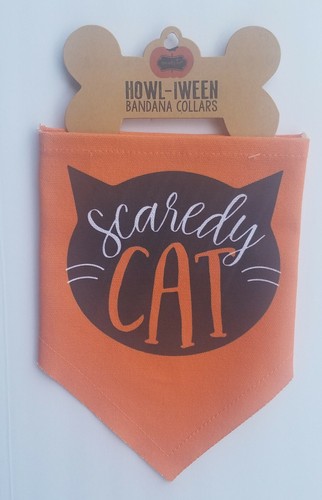 Mud pie halloween cat - pie,